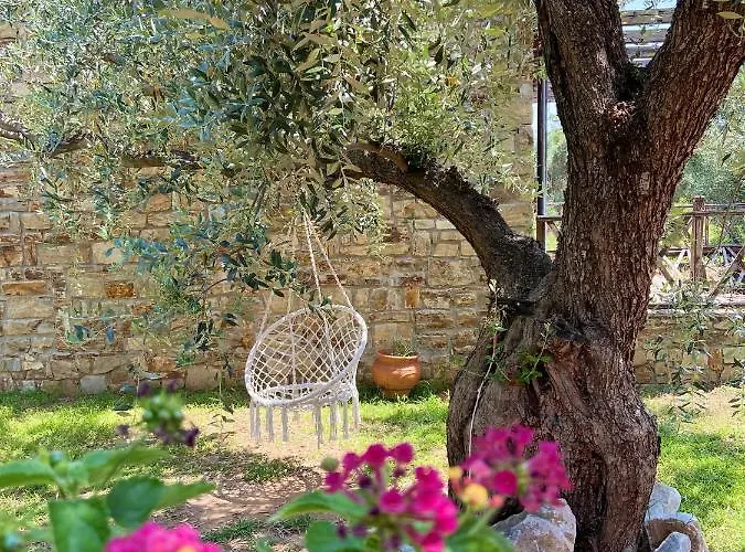 Apartament Summer Dreams *