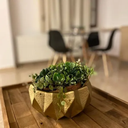 Summer Dreams * Skala Potamia