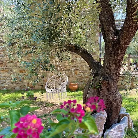 Apartment Summer Dreams *