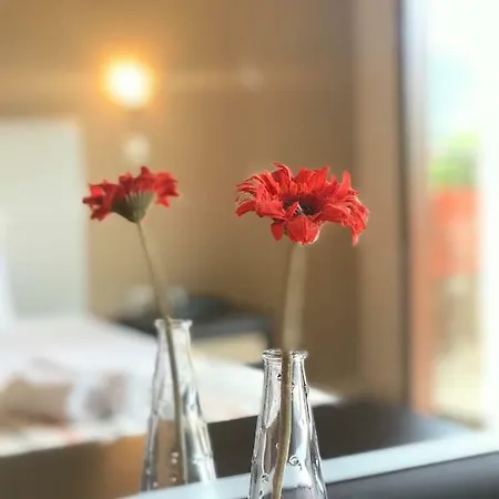 Apartment Summer Dreams Skala Potamia (Thasos)