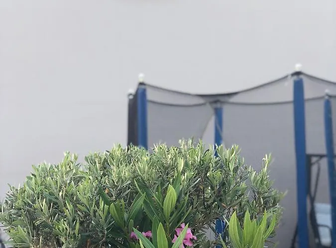 夏梦一室公寓酒店 公寓 *