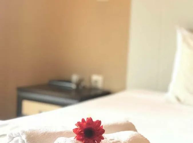 夏梦一室公寓酒店 *