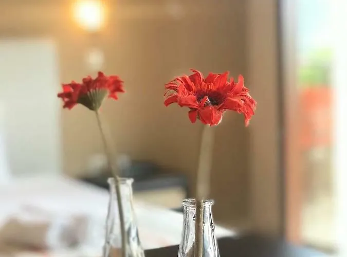 公寓 夏梦一室公寓酒店 斯卡拉伯塔麦斯